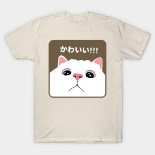 Cat Close To Camera Meme T-Shirt